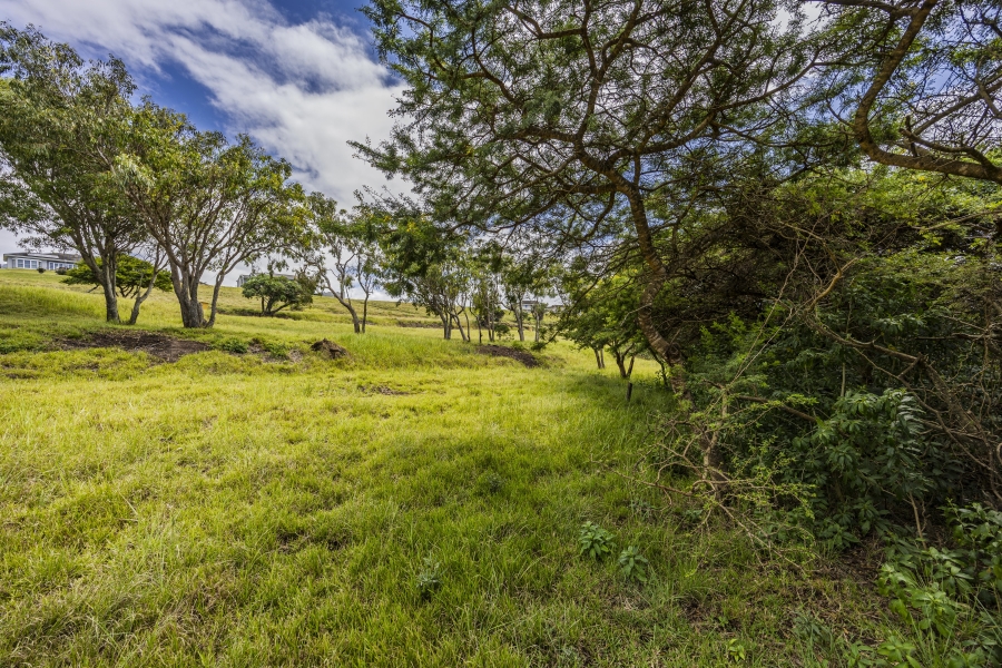 0 Bedroom Property for Sale in Cintsa West Eastern Cape